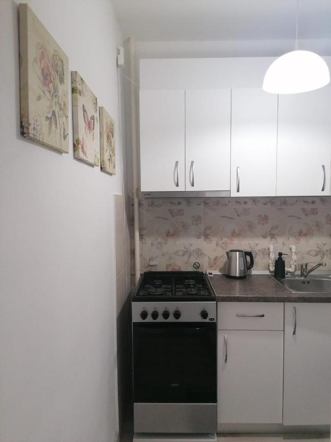 Laroka House Cosy And Modern Apartment Universitate-City Centre Bukarest Eksteriør billede